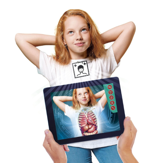 CLEMENTONI- anatomie