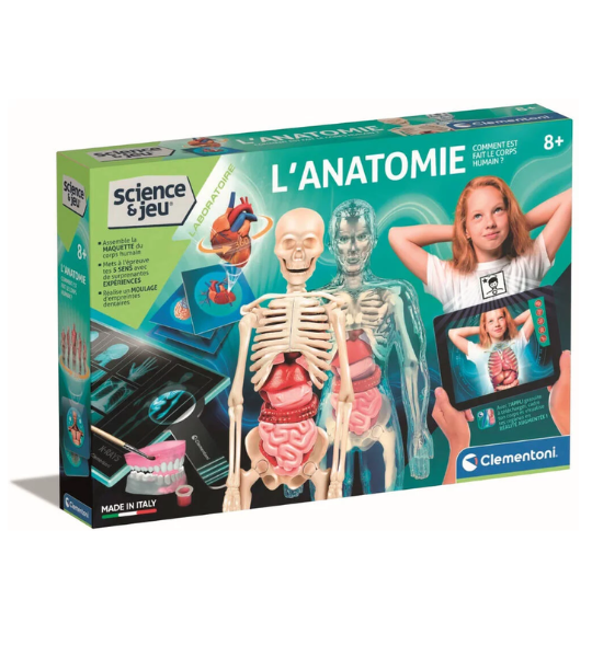 CLEMENTONI- anatomie