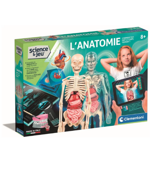 CLEMENTONI- anatomie
