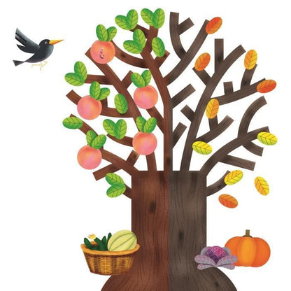 CLEMENTONI- au rythme des saisons