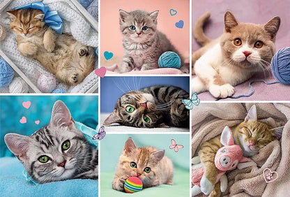 TREFL- puzzle 100 pièces chats