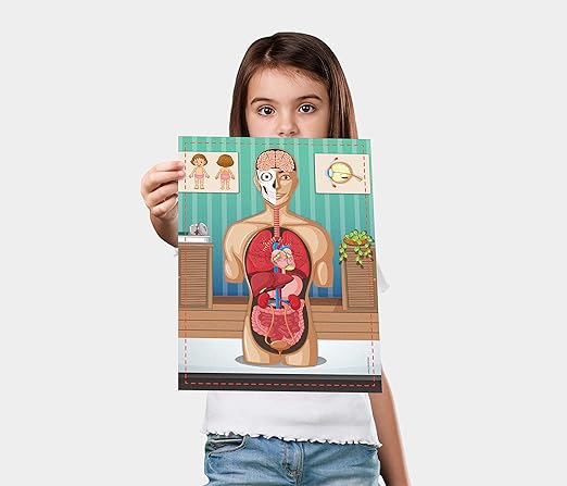 SCIENCE4YOU- le corps humain