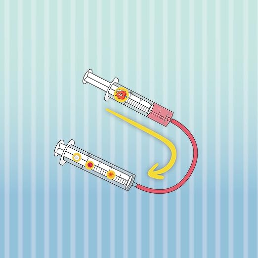 SCIENCE4YOU- le corps humain