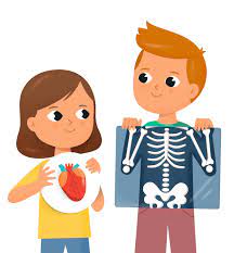 Clementoni – Découvre le Corps : Puzzle Anatomie & Jeux d’Éveil