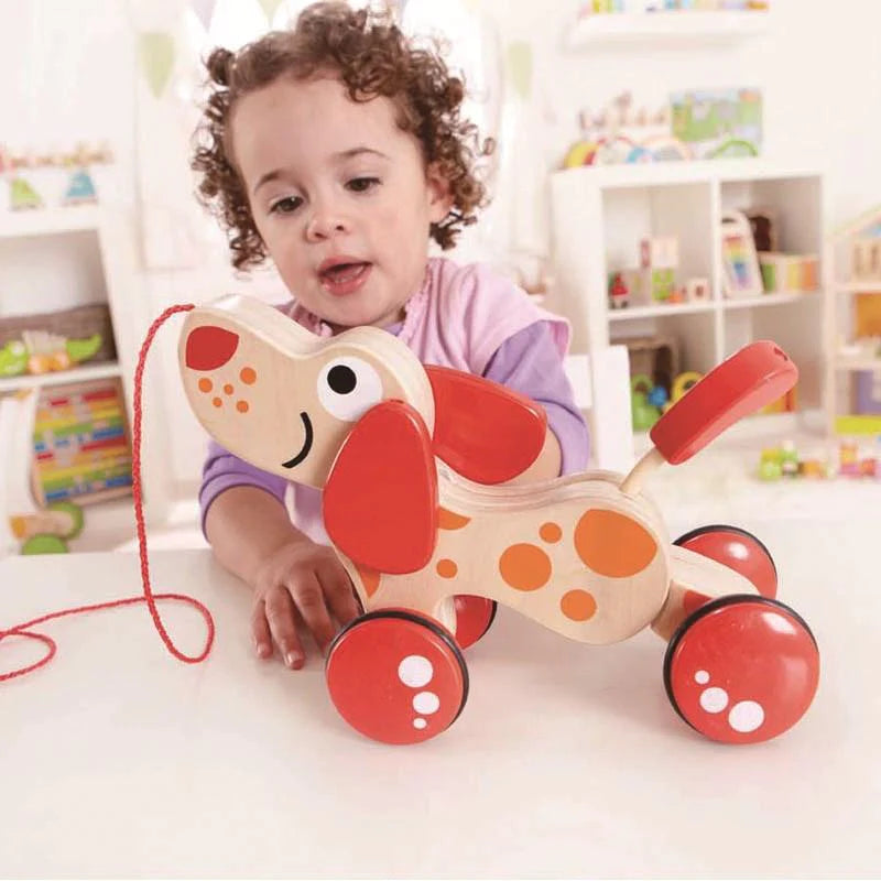 HAPE- pepe pull along